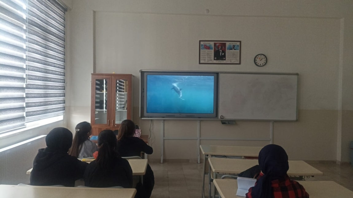 Okulumuzda Dönem Sonu Faaliyetleri Haftası Etkinlikleri